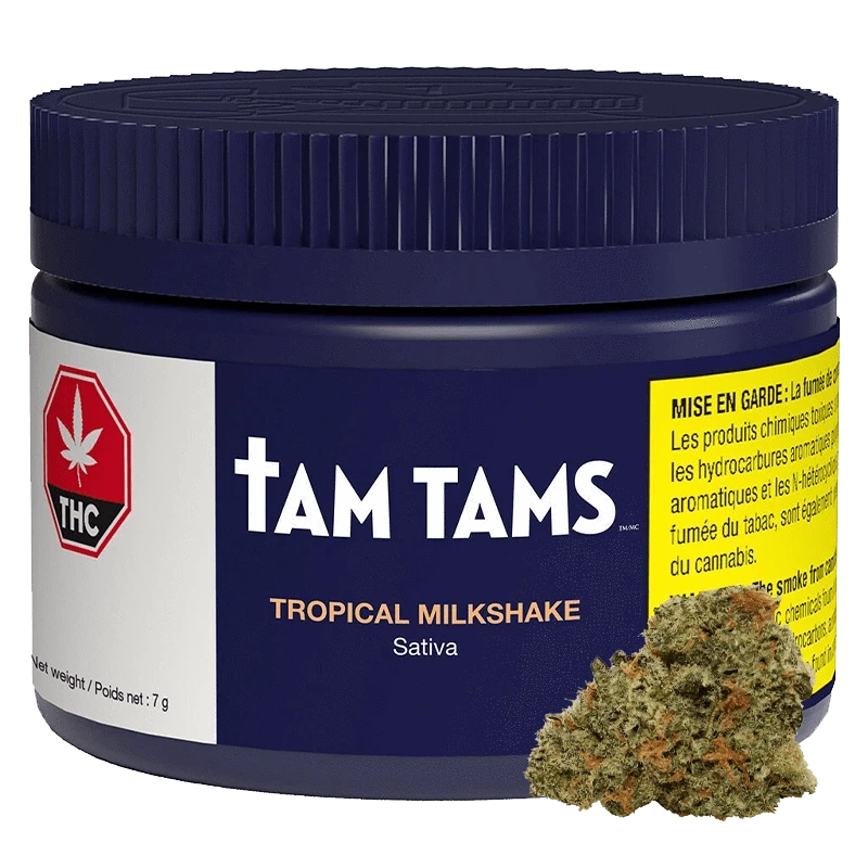 Tam Tams - Tropical Milkshake (SATIVA)