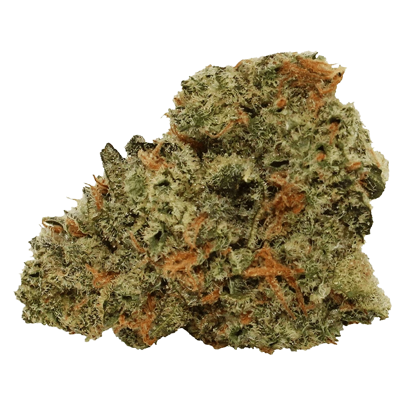 Tam Tams - Tropical Milkshake (SATIVA) - Image 2