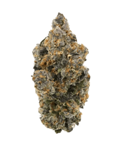 Alternative view of Greenade - Tropical Skunk (INDICA)