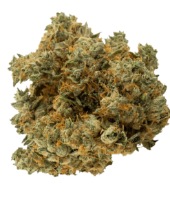 Alternative view of Virtue - Black Triangle Kush (INDICA)
