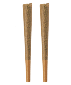 Alternative view of Bold Glazed - Glazed Indica PR 2 x 1 g