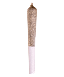 Alternative view of Potluck - Sugar Shack PR 1 x 0.5 g (HYBRID)