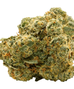 Alternative view of Spinach - Blue Thai (SATIVA)