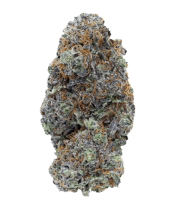 Alternative view of Pistol and Paris - Flavours (HYBRID)