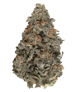 Alternative view of Simply Bare - BC Organic Luv Affair (INDICA)