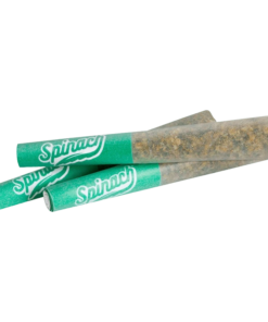 Alternative view of Spinach - Blue Thai PR 3 x 0.5 g (SATIVA)