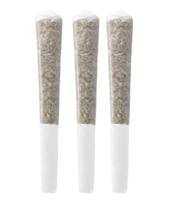 Alternative view of Pistol and Paris - Gas Pack (Notorious, Rockstar, Deathbubba) PR 3 x 0.5 g (INDICA)