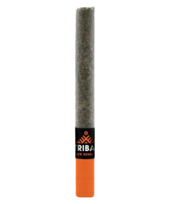 Alternative view of Tribal - Neon Sunshine Ceramic Tip PR 1 x 1 g (HYBRID)