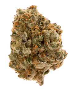 Alternative view of Snicklefritz - Sky Burst Haze (SATIVA)