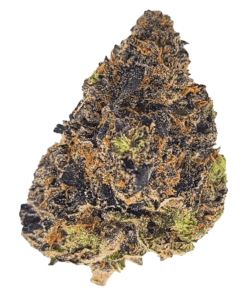 Alternative view of 1964 - Apples & Bananas (INDICA)