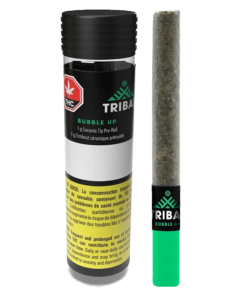 Tribal - Bubble Up Ceramic Tip PR 1 x 1 g (INDICA)