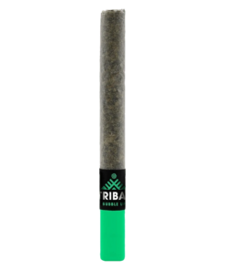 Alternative view of Tribal - Bubble Up Ceramic Tip PR 1 x 1 g (INDICA)