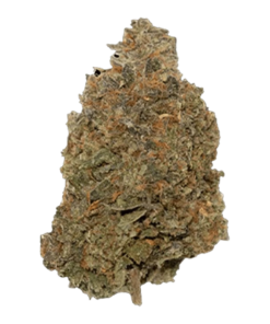 Alternative view of Happy Hour - Training Day (INDICA)