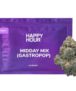 Happy Hour - Midday Mix (HYBRID)