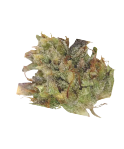 Alternative view of Cosmic Extracts - Fast Orange (SATIVA)