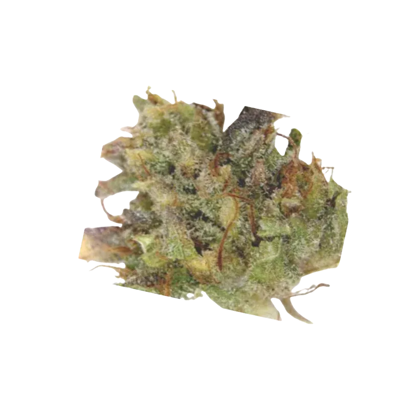 Cosmic Extracts - Fast Orange (SATIVA) - Image 2