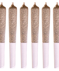 Alternative view of Station House - Coast To Coast Series PR 6 x 0.5 g (INDICA)