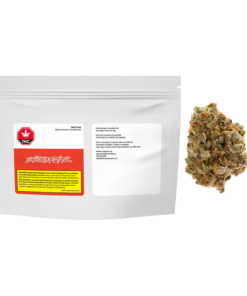 Snicklefritz - Dutch Treat (SATIVA)