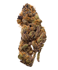 Alternative view of Crooked Dory - Guava Barz (HYBRID)