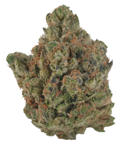 Alternative view of Volo - Orange Turpentine (SATIVA)