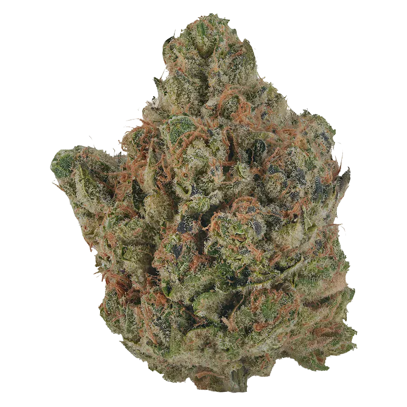 Volo - Orange Turpentine (SATIVA) - Image 2