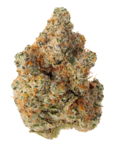 Alternative view of Eastcann - Masterpiece (INDICA)