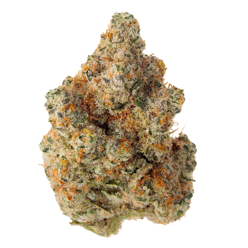 Eastcann - Masterpiece (INDICA) - Image 2