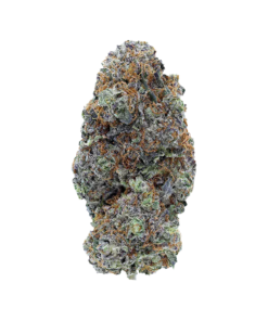 Alternative view of Pistol and Paris - LSO Collection Blueberry Vendetta (INDICA)