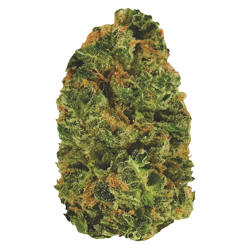 Stoned - Do Si Dos (INDICA) - Image 2
