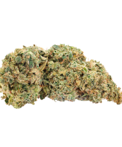 Alternative view of Trailblazer - Britney's Frozen Limelight (SATIVA)