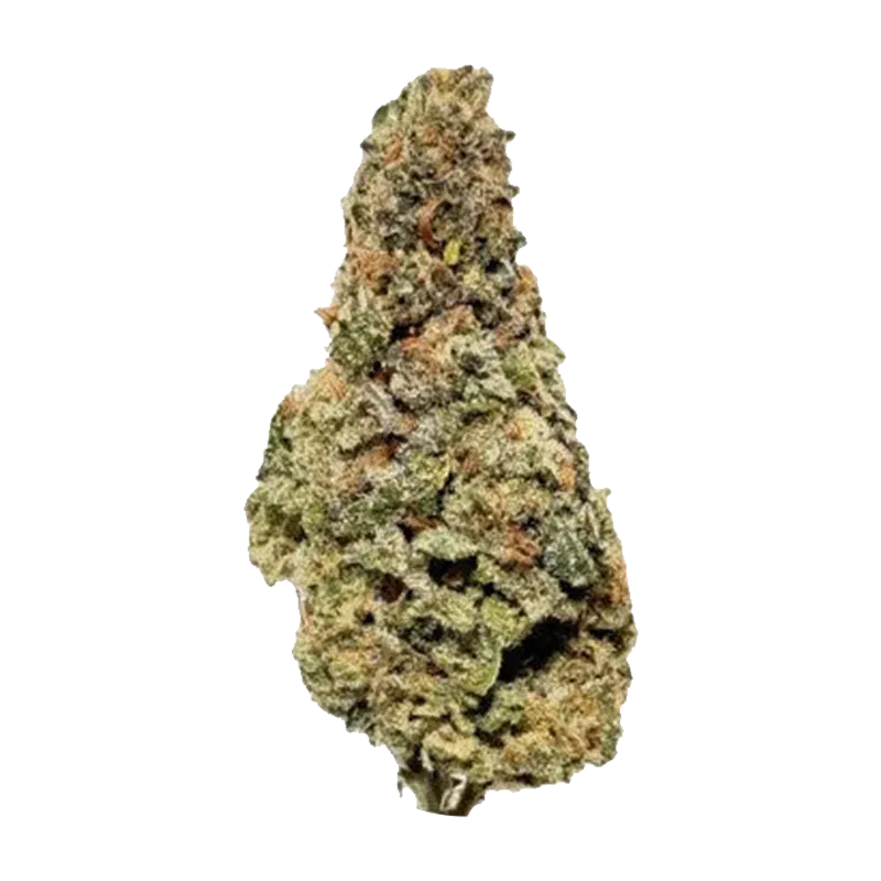Salt Spring Magic - Zeus (INDICA) - Image 2