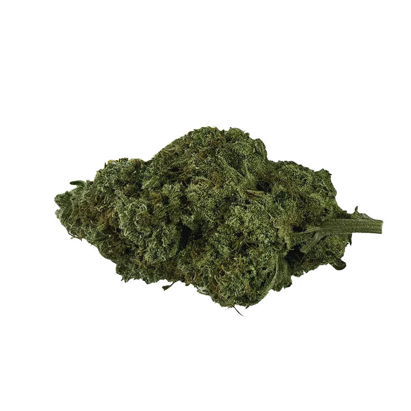 Canadian Cannabis - Organic Electric Skunk (SATIVA) - Image 2