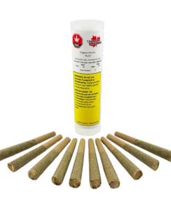 Canadian Cannabis - Organic Electric Skunk PR 10 x 0.5 g (SATIVA)