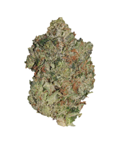 Alternative view of Pistol and Paris - Lindsay OG (INDICA)