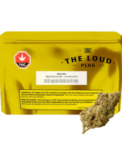 The Loud Plug - Dolce Mia (INDICA)