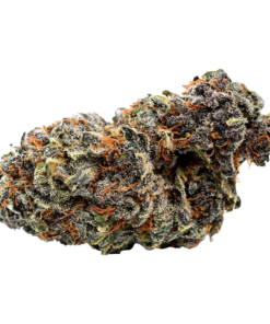 Alternative view of Qwest - Georgia Pie Flower (HYBRID)