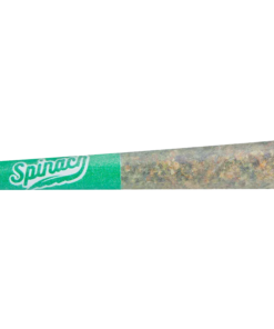 Alternative view of Spinach - Blue Thai #2 PR 1 x 0.5 g (SATIVA)