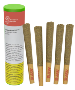 Common Ground - Guava Haze PR 5 x 0.5 g (SATIVA)