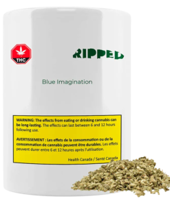 Ripped - Blue Imagination (HYBRID)