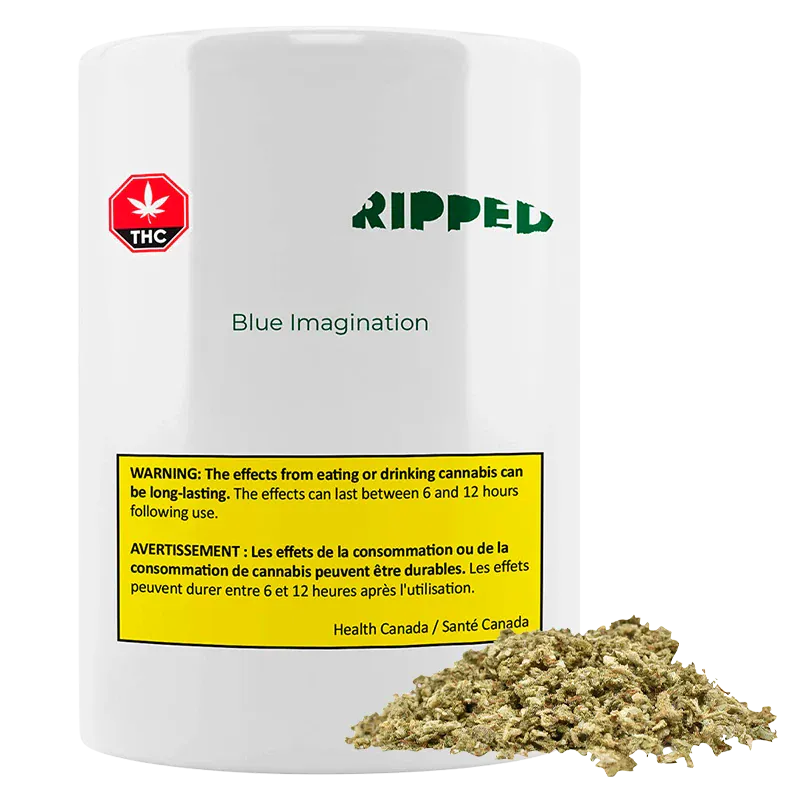 Ripped - Blue Imagination (HYBRID)