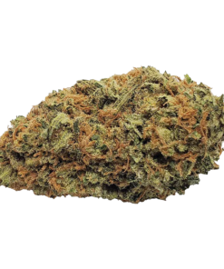 Alternative view of Color Cannabis - BlueBberry Se Gual (INDICA)