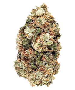 Alternative view of BC Green - Frosted Gumbo (INDICA)