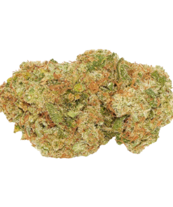 Alternative view of Good Supply - Wild Rose Reserve (SATIVA)