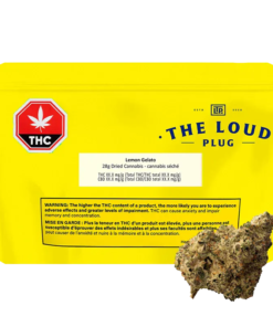 The Loud Plug - Lemon Gelato (HYBRID)