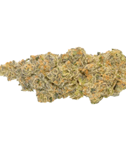 Alternative view of Broken Coast - BC Selects: Pineapple Marker 143 (SATIVA)