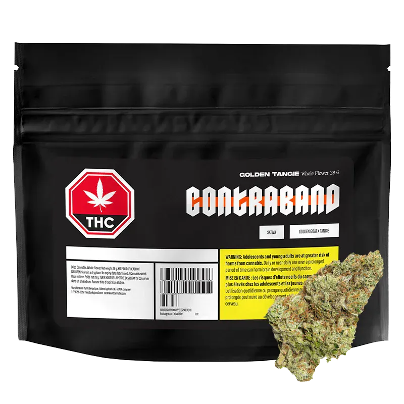 Contraband - Golden Tangie (SATIVA)