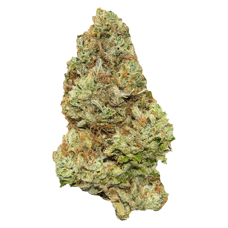 Contraband - Golden Tangie (SATIVA) - Image 2