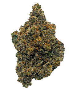 Alternative view of Clem & Co - Mango Fuel (SATIVA)