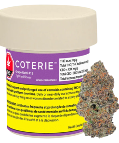 Coterie - Grape Gotti #12 (INDICA)