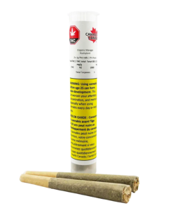 Canadian Cannabis - Organic Mango Hashplant PR 2 x 1 g (INDICA)